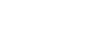 Vector Optics